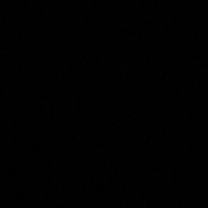 Meet your Posher, Bella